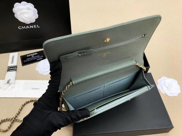 CHANEL WOC BAG 샤넬 WOC 백