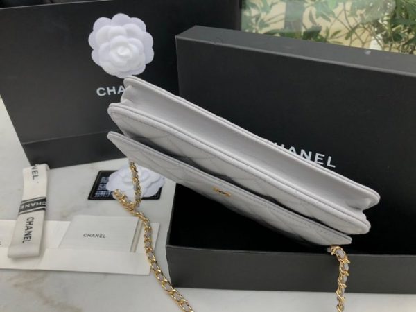 CHANEL WOC BAG 샤넬 WOC 백